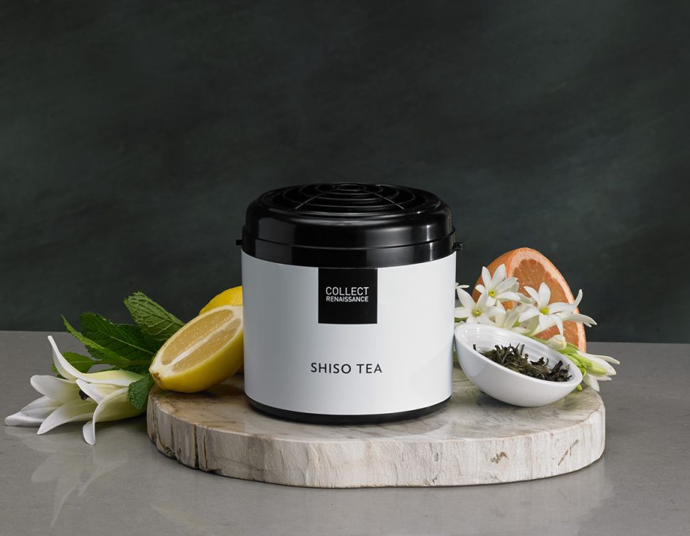 Cartouche diffuseur d'intérieur Shiso Tea 1